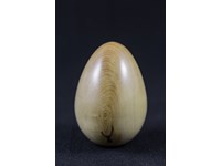 Oeuf Buis